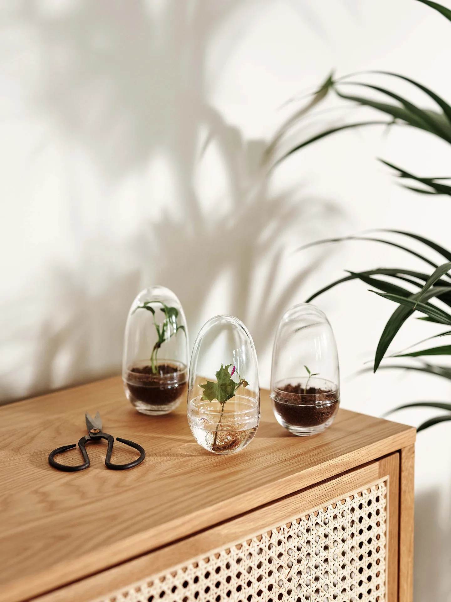Grow Mini-Gewächshaus, Klein ø8 cm Design House Stockholm