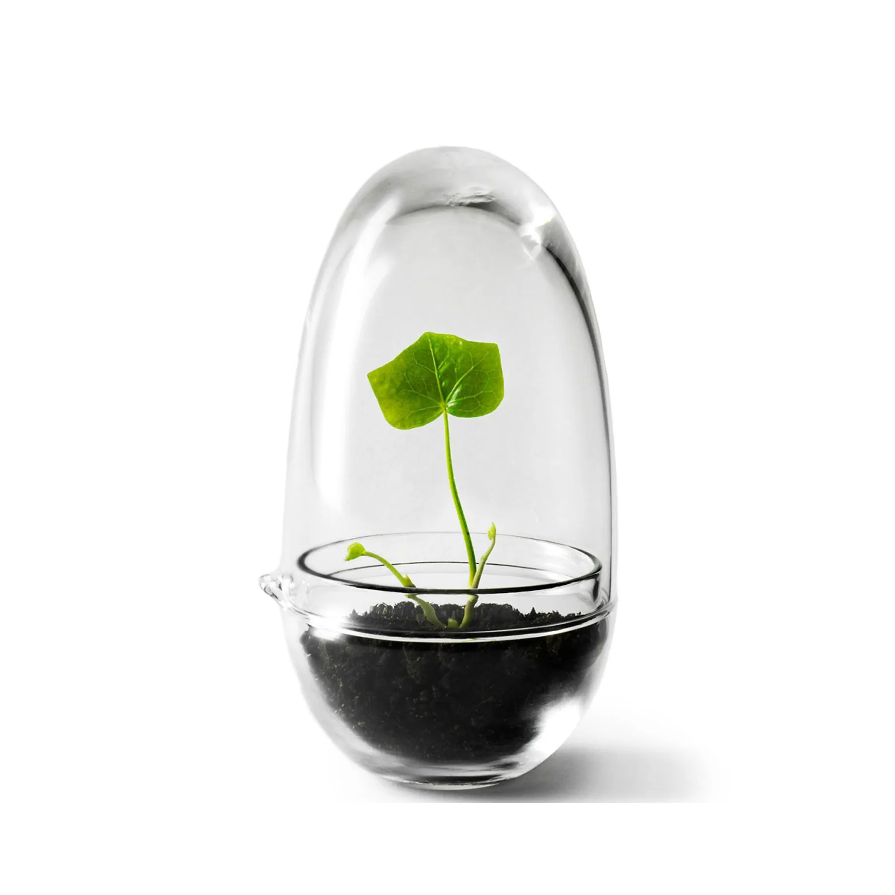 Grow Mini-Gewächshaus, Klein ø8 cm Design House Stockholm