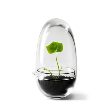 Grow Mini-Gewächshaus - Klein ø8 cm - Design House Stockholm