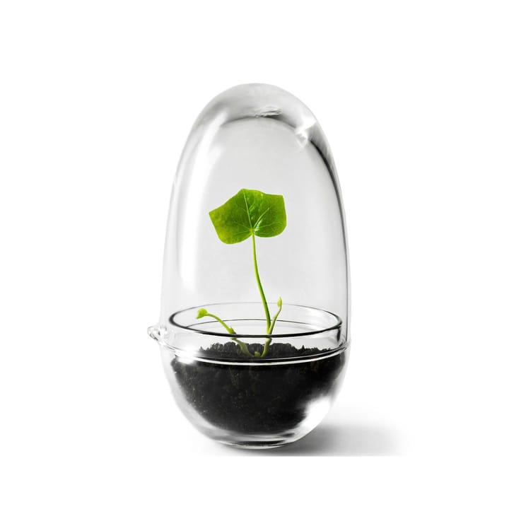 Grow Mini-Gewächshaus - Klein Ø8 cm - Design House Stockholm