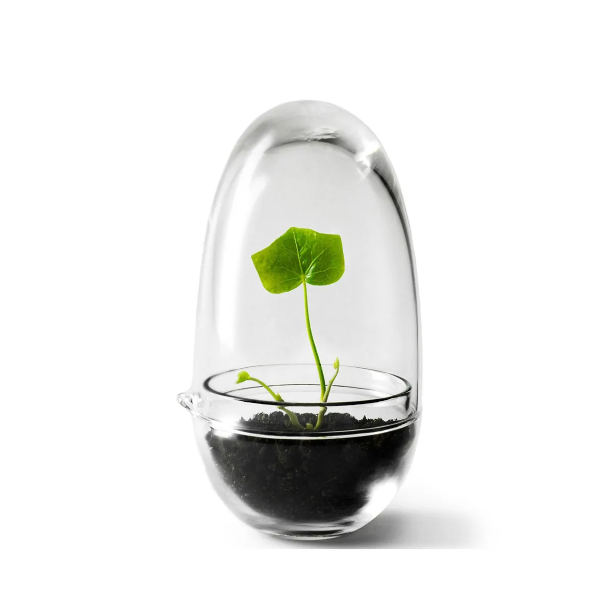Design House Stockholm Grow Mini-Gewächshaus Klein ø8 cm