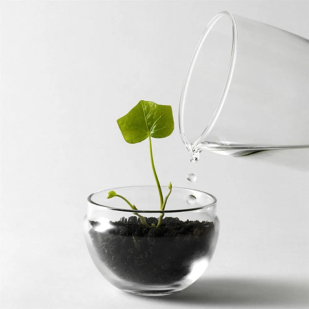 Grow Mini-Gewächshaus, Klein ø8 cm Design House Stockholm