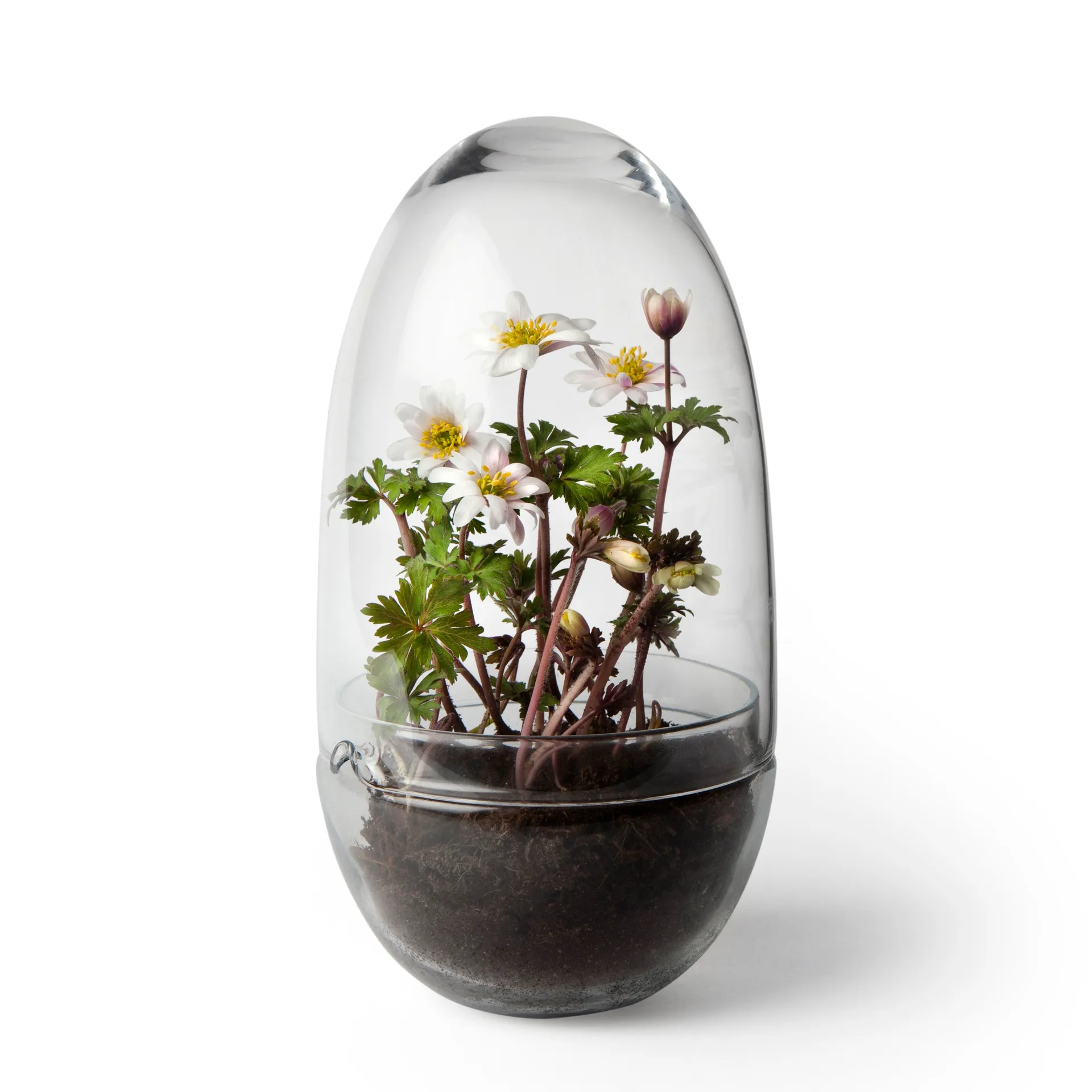 Grow Mini-Gewächshaus, Medium ø11 cm Design House Stockholm
