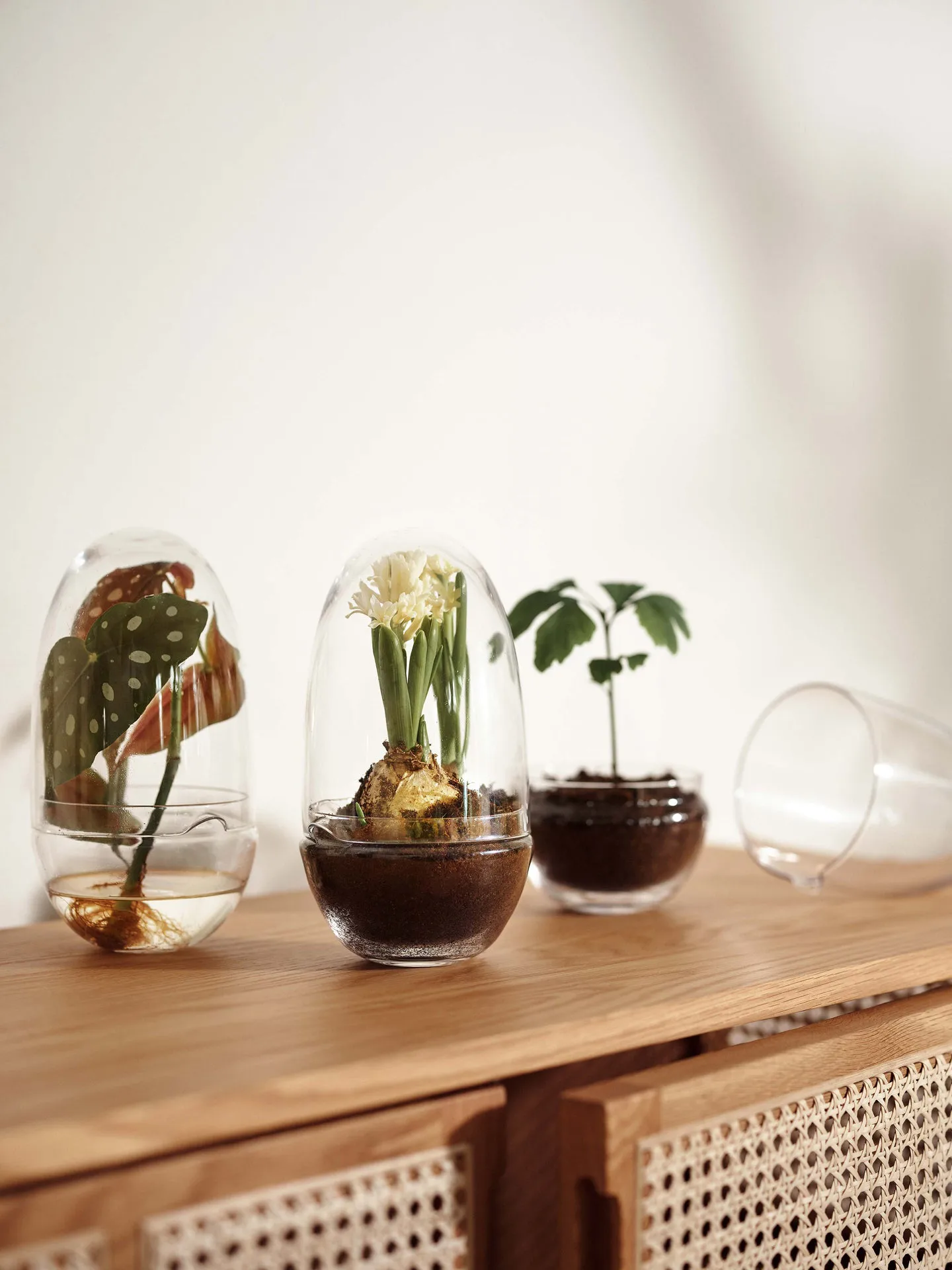 Grow Mini-Gewächshaus, Medium ø11 cm Design House Stockholm