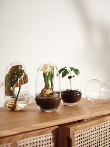 Grow Mini-Gewächshaus - Medium ø11 cm - Design House Stockholm