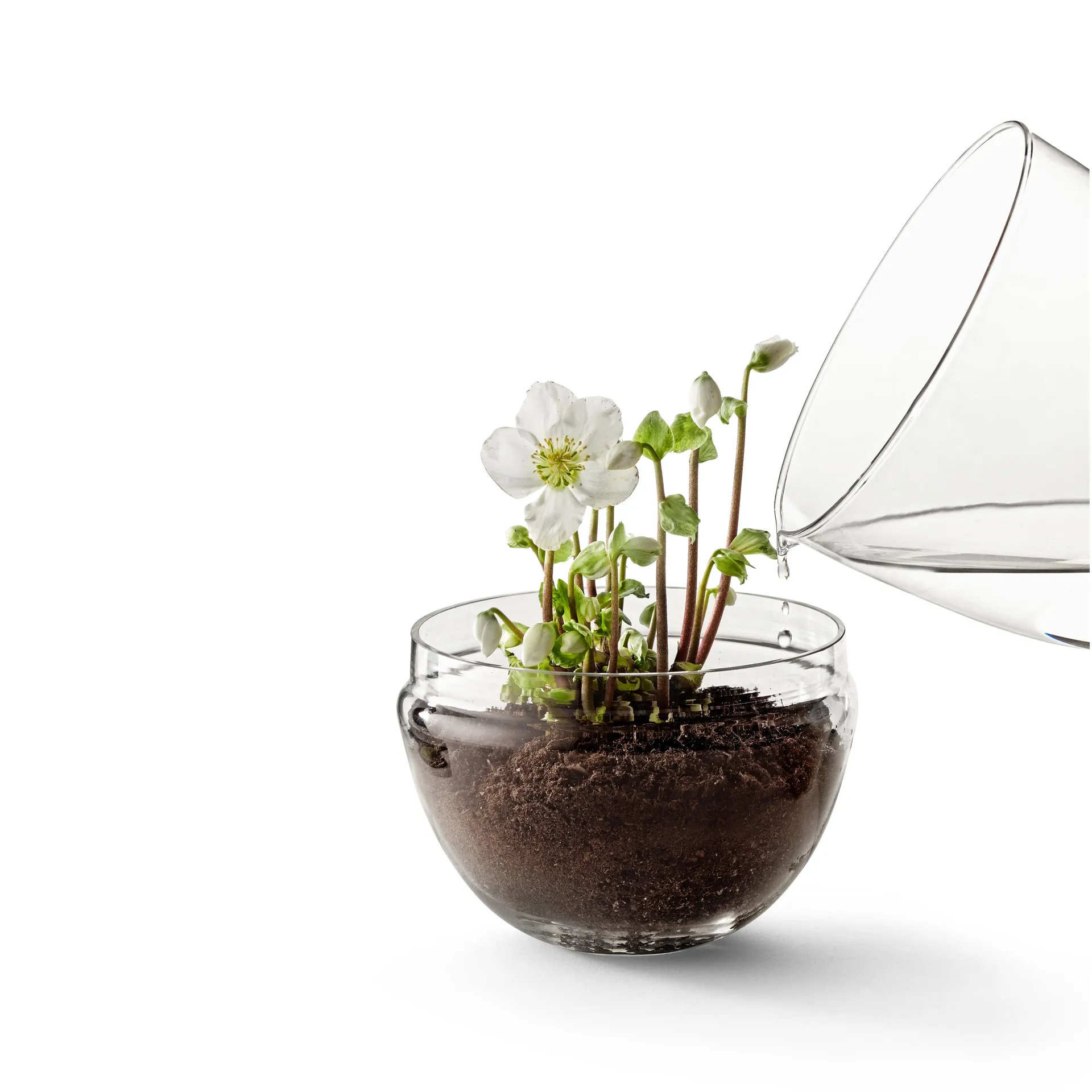 Grow Mini-Gewächshaus, x-large Ø20 cm Design House Stockholm