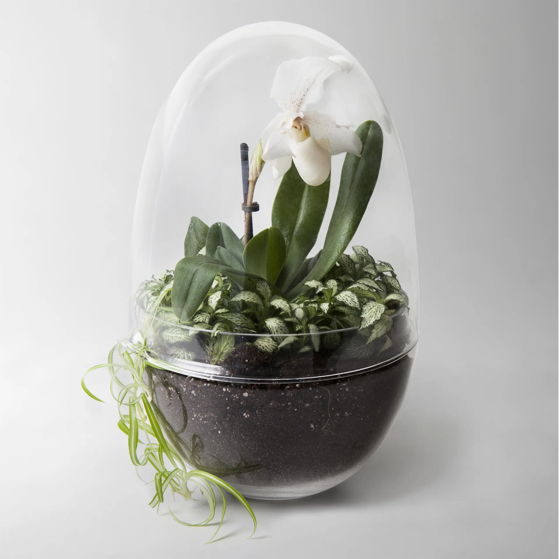 Grow Mini-Gewächshaus, x-large Ø20 cm Design House Stockholm