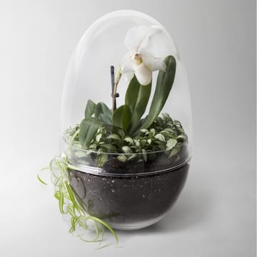 Grow Mini-Gewächshaus - x-large Ø20 cm - Design House Stockholm