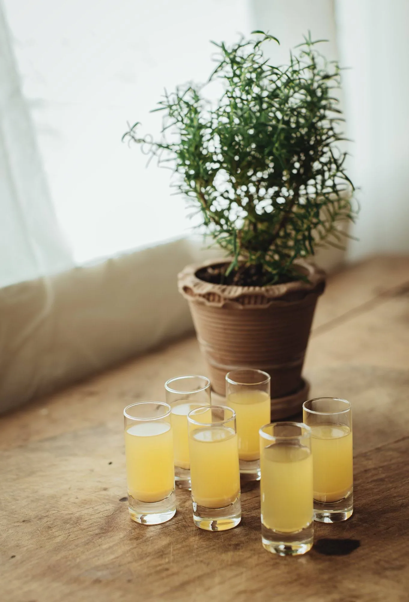 Saba Schnapsglas, Raka, 6er-Pack, 6 cl Dorre