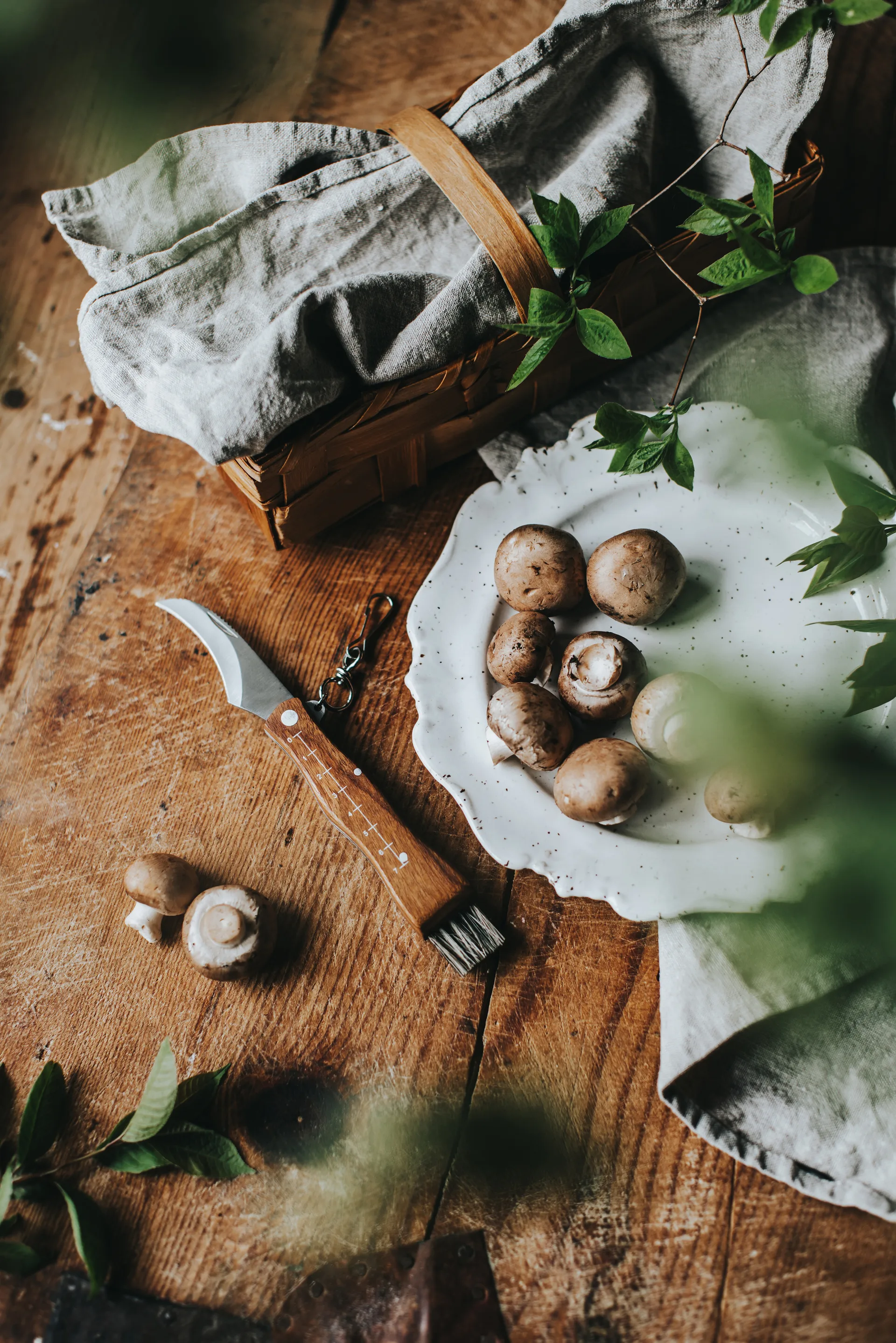Stuti Pilzmesser brauner Holzgriff mit Bürste 13x2 cm, Edelstahl Dorre