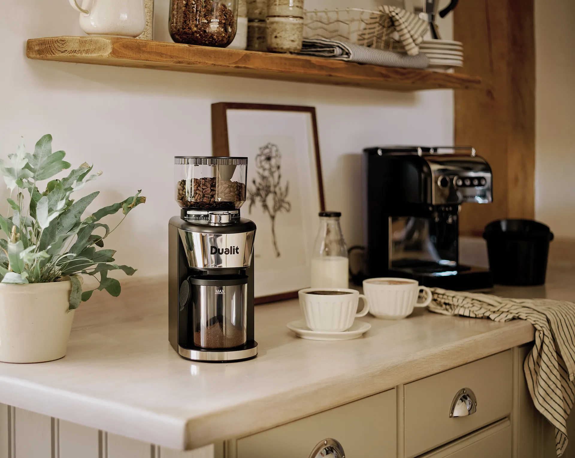 Dualit Kaffeemühle 31 cm, Schwarz Dualit