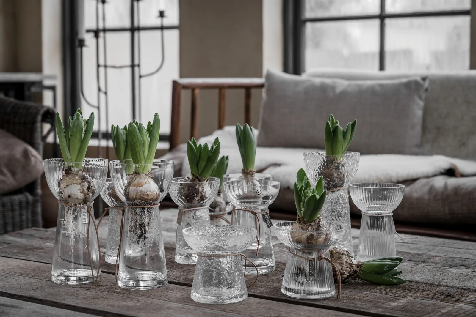 Ernst Bluemnzwiebel-Vase Glas, 19 cm ERNST