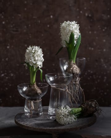 Ernst Bluemnzwiebel-Vase Glas - 19 cm - ERNST