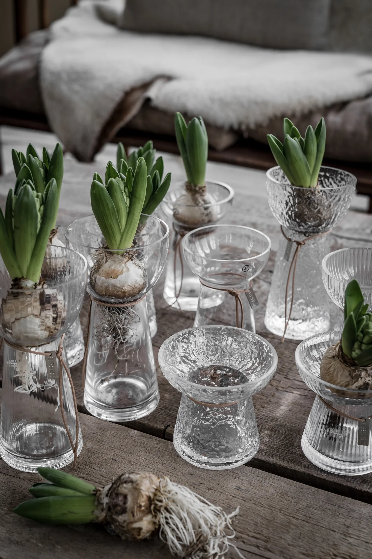 Ernst Blumenzwiebel-Vase geriffelt, 19 cm ERNST