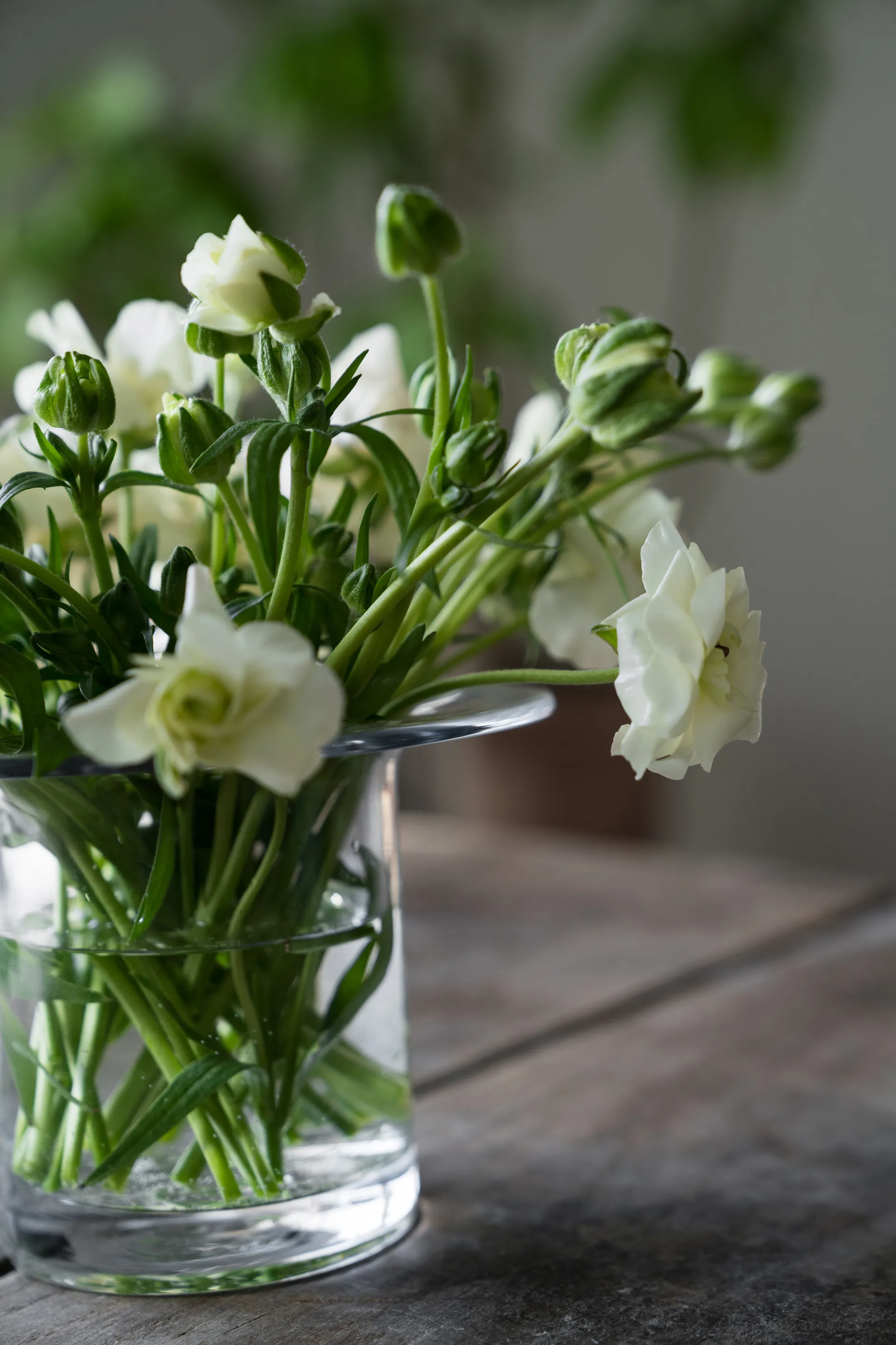 Ernst Glasvase Ø17 cm, H 13 cm ERNST