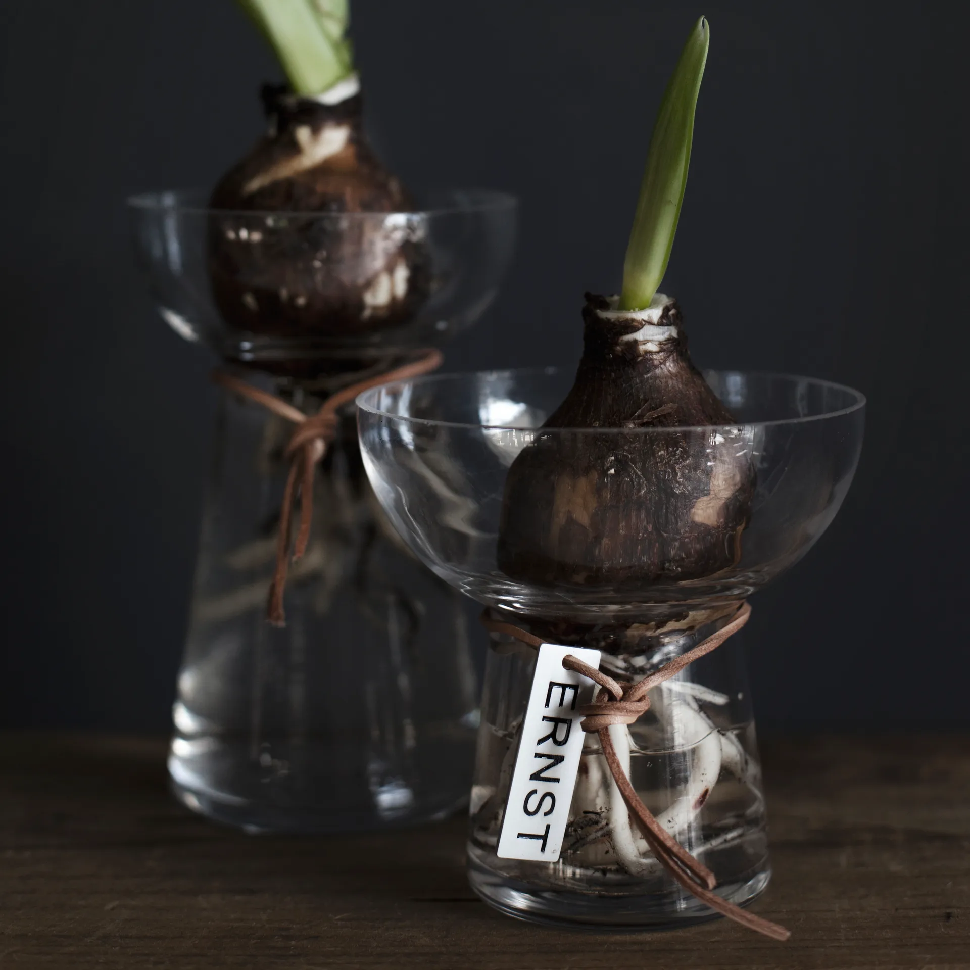 Ernst Hyazinthen-Vase 11cm, Klar ERNST