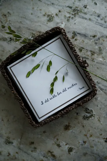 Ernst Serviette mit Zitat I det enkla 20er Pack - Hellgrau - ERNST