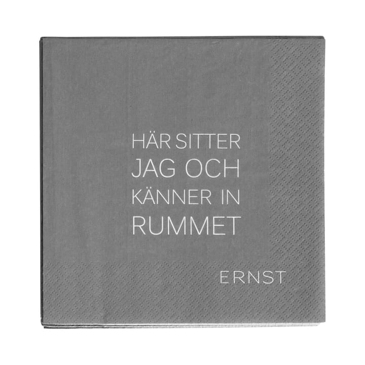 Ernst Serviette mit Zitat Tid-Rum 20er Pack, Grau ERNST