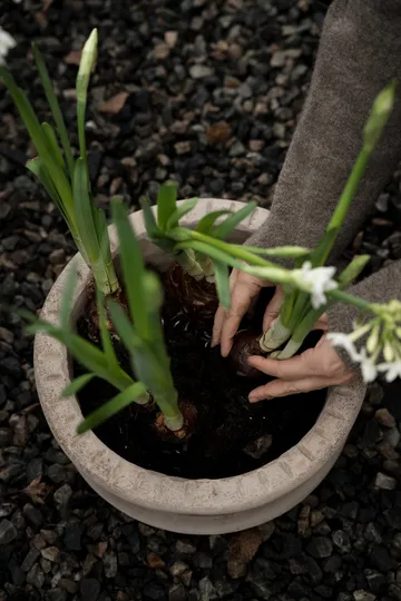 Ernst Terrakotta-Topf mit Untersetzer - Ø33×12 cm - ERNST