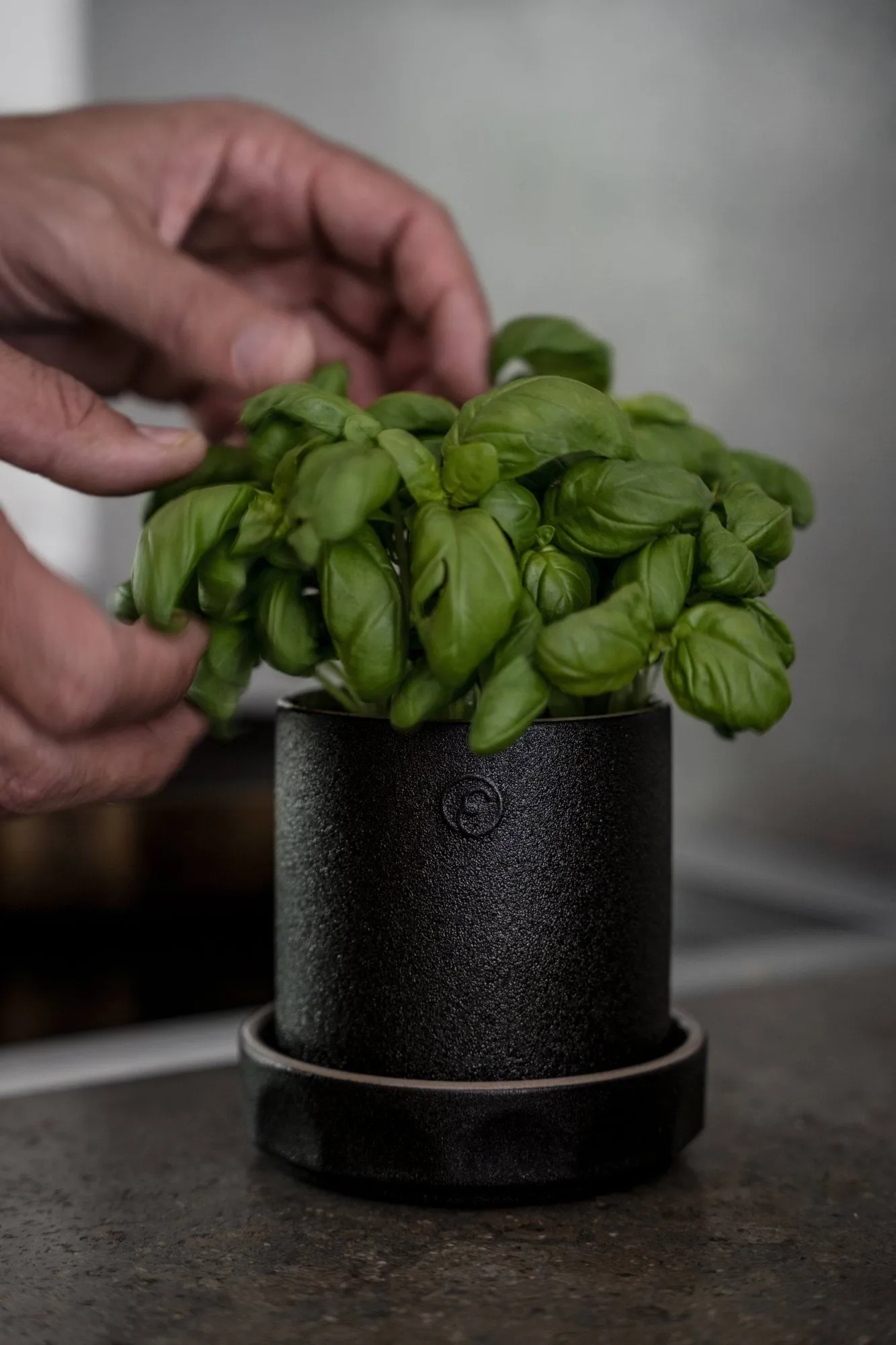 Ernst Topf mit Untersetzer, Schwarz-Natur, Ø11x11 cm ERNST