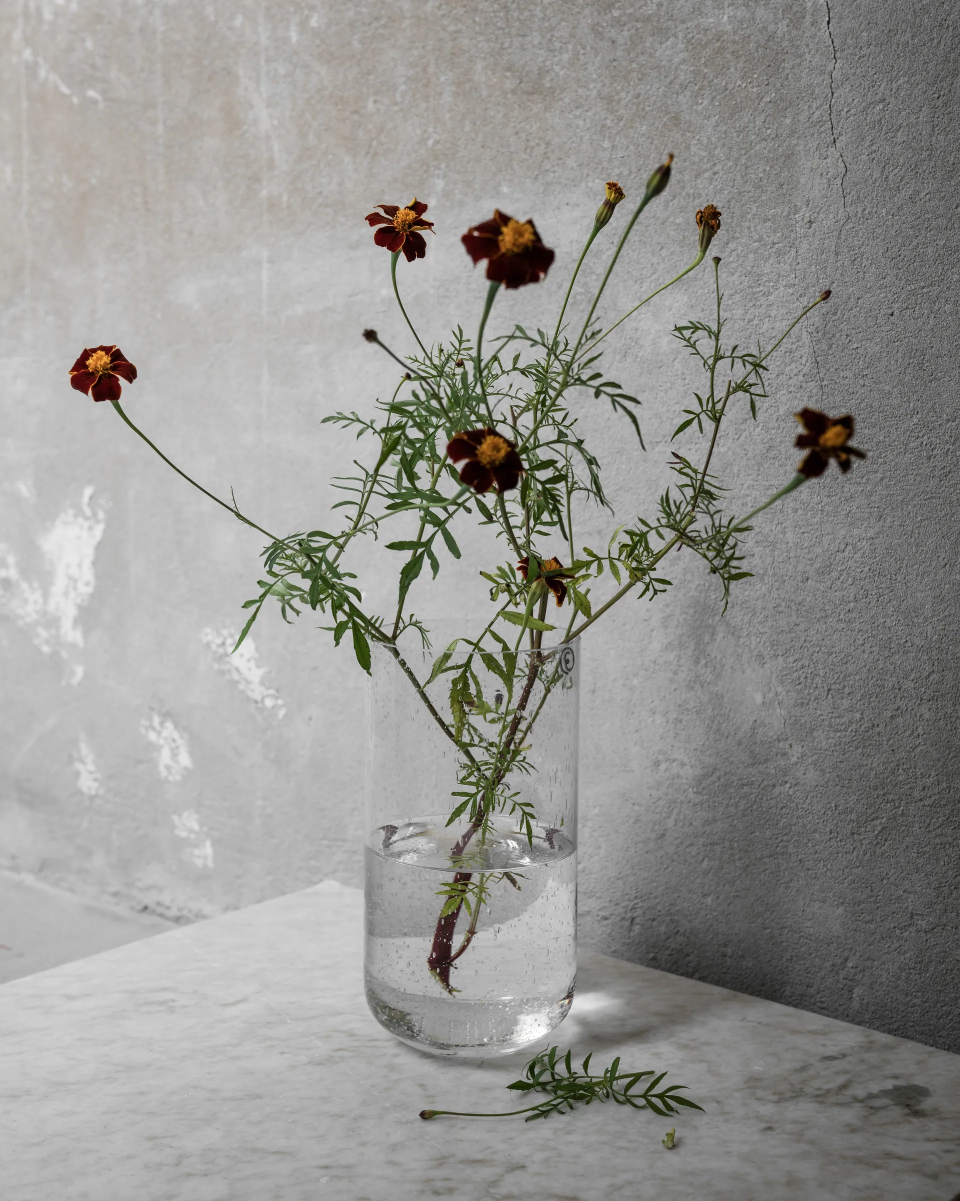 Ernst Vase aus Glas mit Blasen 25 cm, Klar ERNST