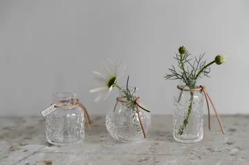 Ernst Vase Geschenkverpackung 3-teilig - Klar - ERNST