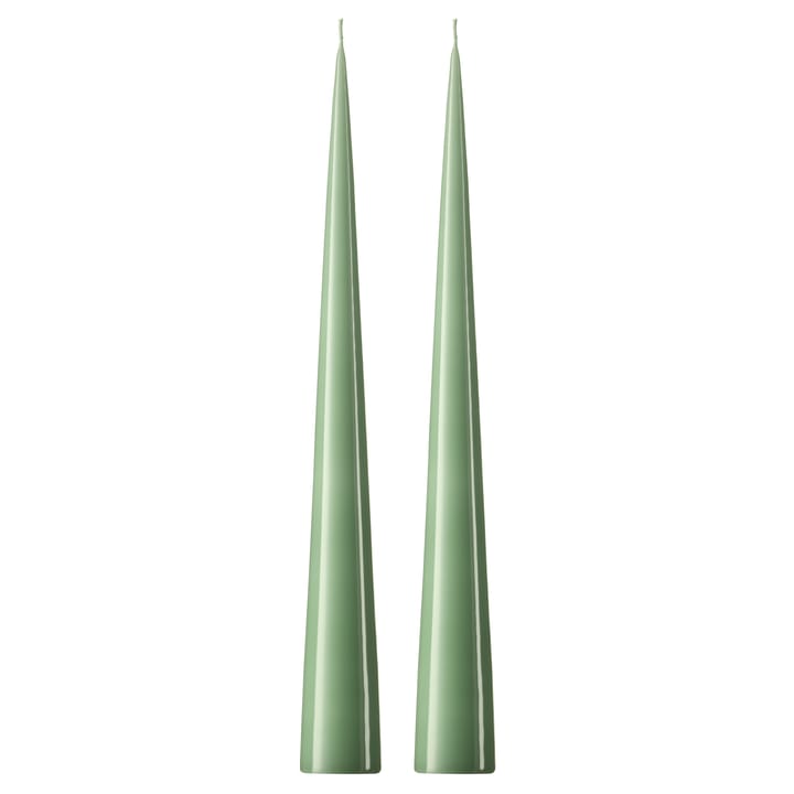 ester & erik Kegelkerze 37cm 2er Pack lackiert - Eucalyptus 66-0 - Ester & erik