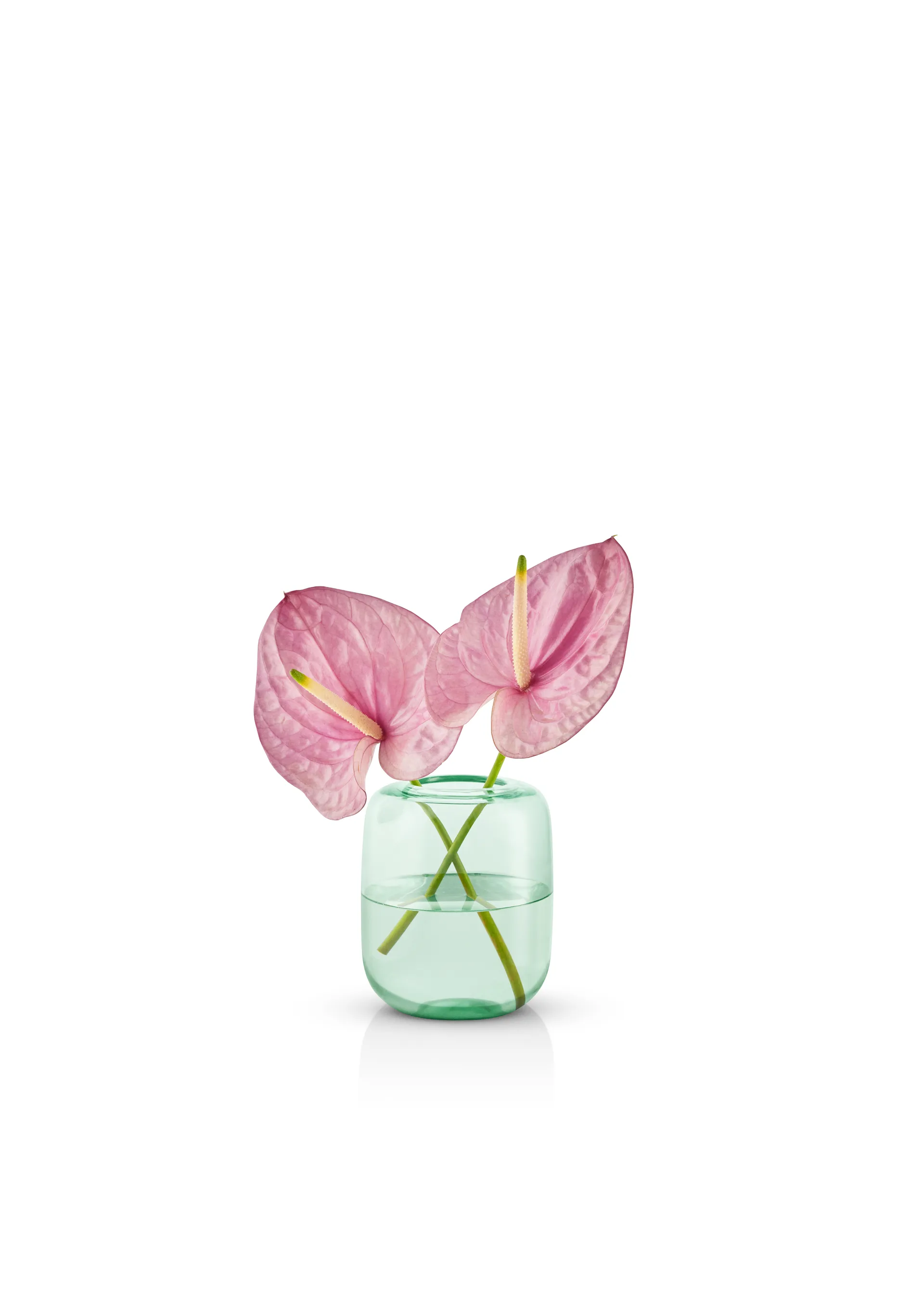 Acorn Vase 16,5 cm, Mint green Eva Solo