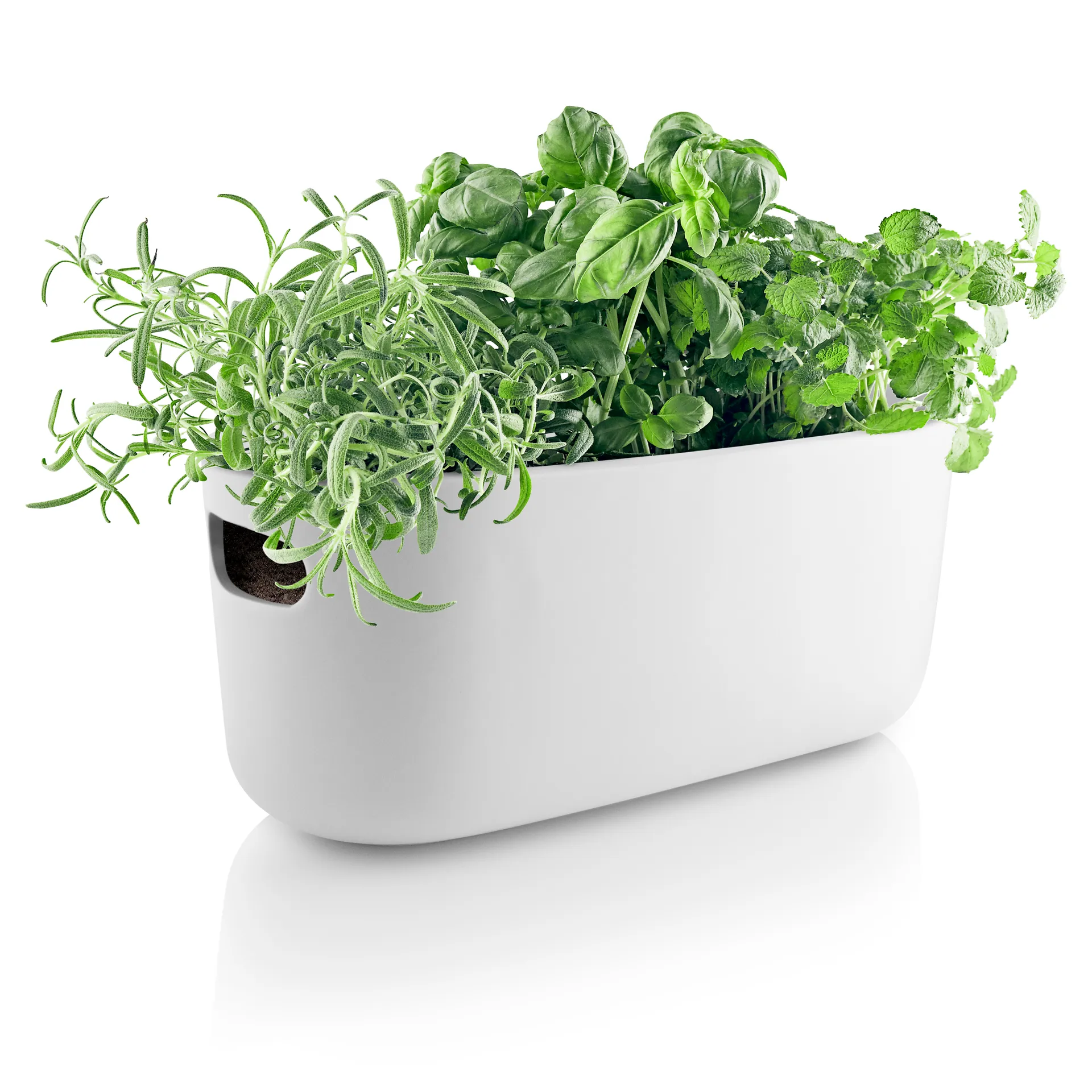 Eva Solo herb organiser selbstbewässernd, Weiß Eva Solo