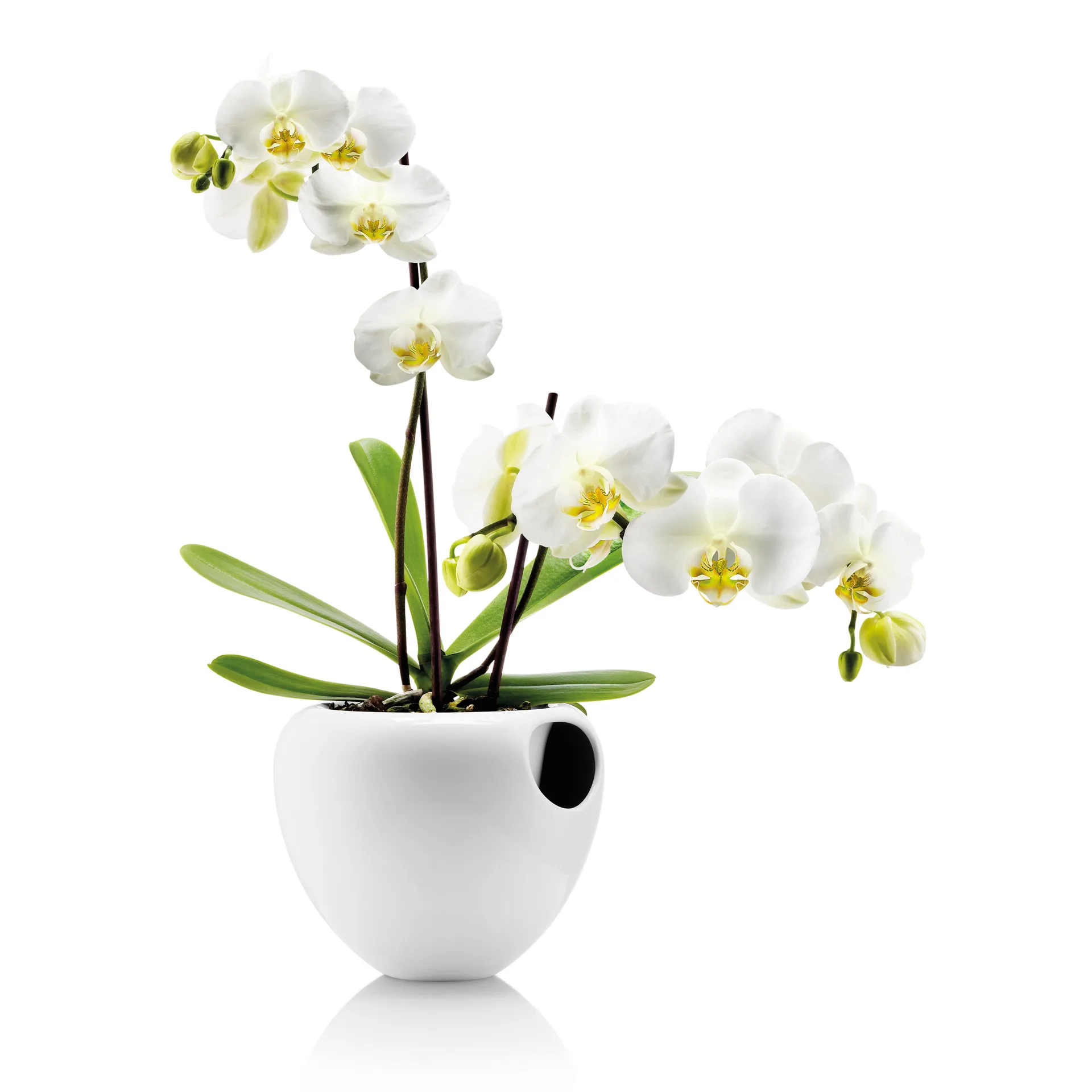 Eva Solo Orchideetopf Ø18 cm, Weiß Eva Solo