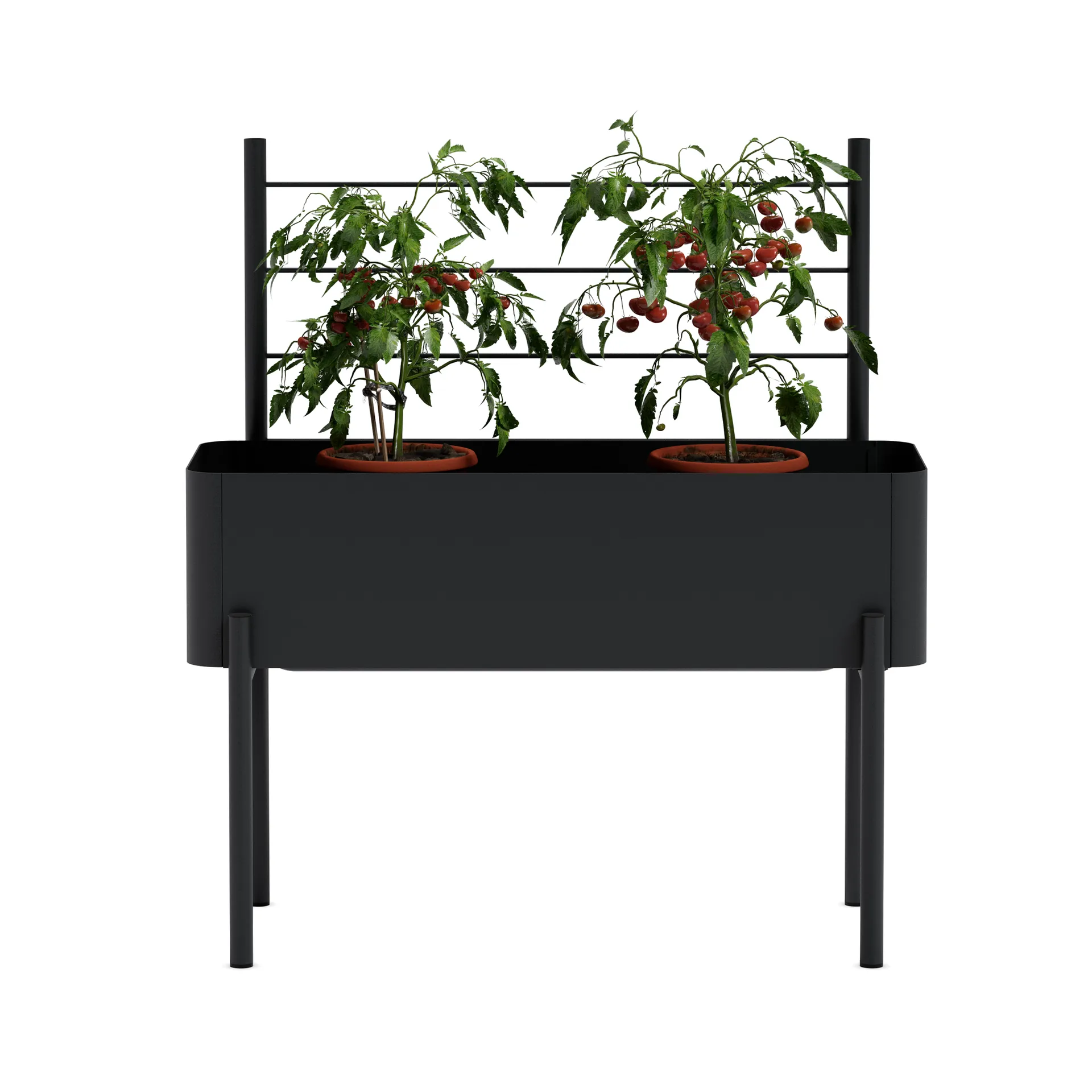 Simply Grow Spalier für Hochbeet, Black Eva Solo