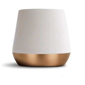 Big Jo' Double Wall Ceramic Mug 12oz 35 cl - Weiß - Fellow