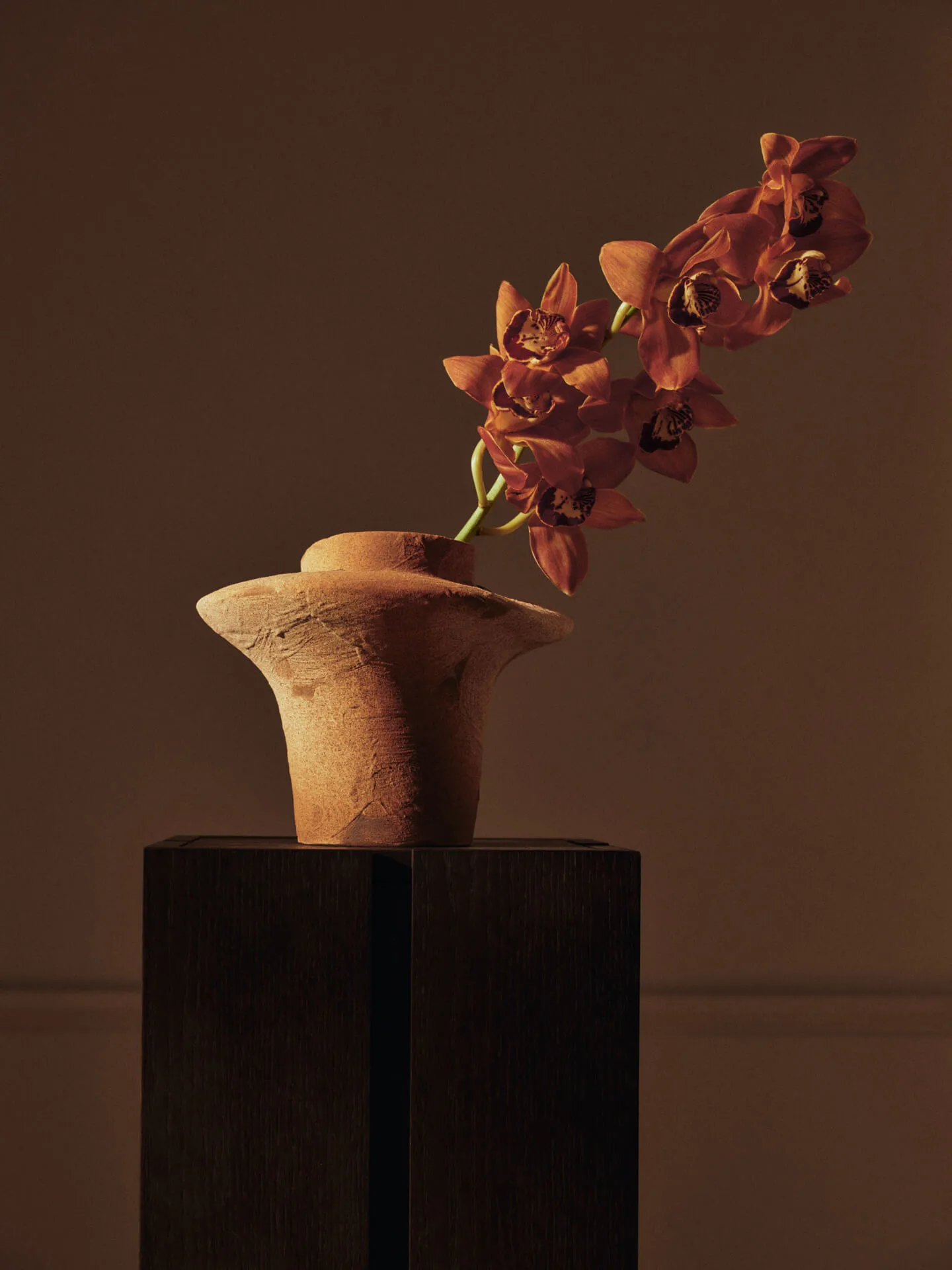 Evio Vase, Burnt umber, Ø25x22 cm Ferm Living
