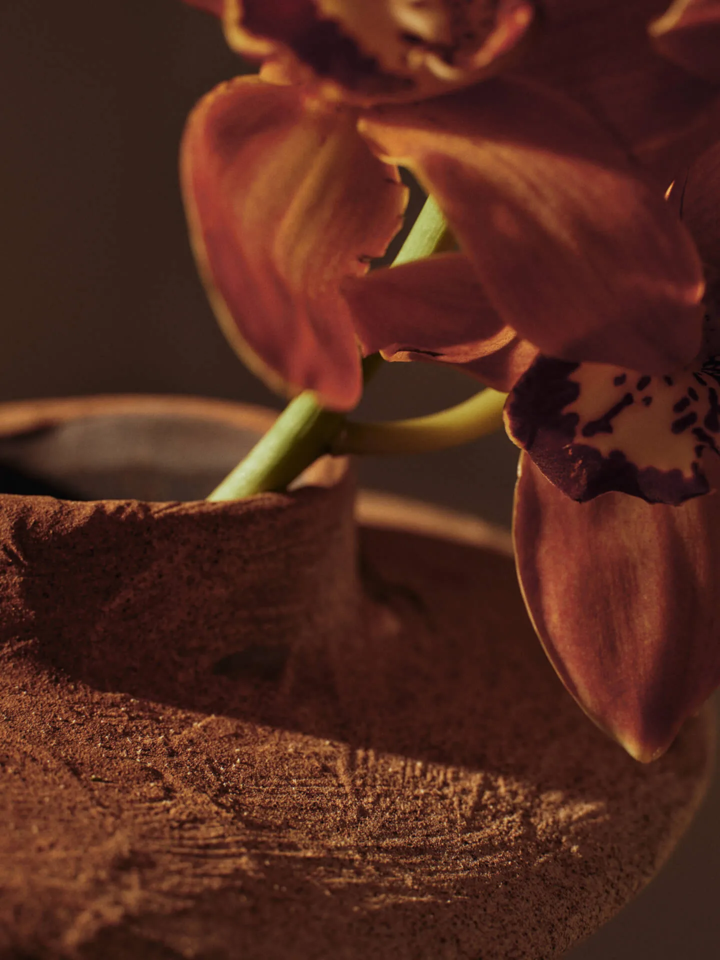 Evio Vase, Burnt umber, Ø25x22 cm Ferm Living