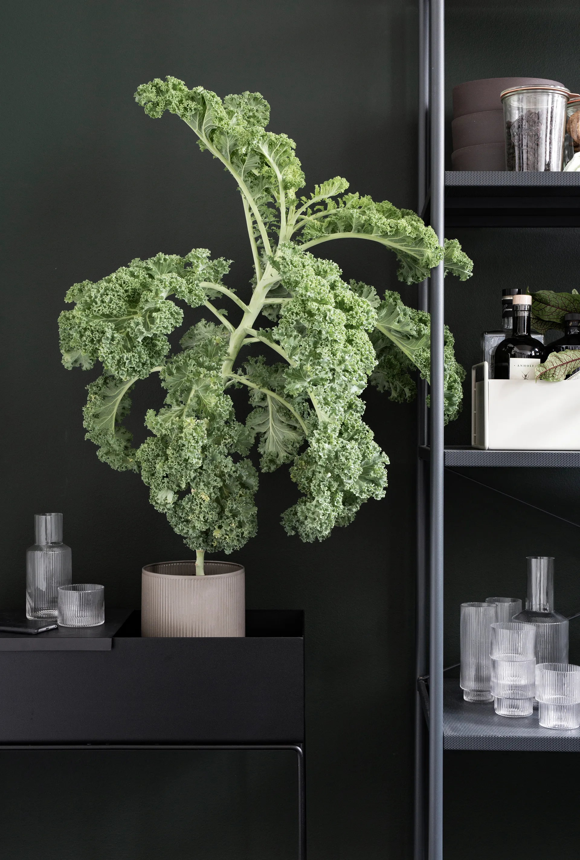 ferm LIVING Plant Box, Schwarz Ferm Living