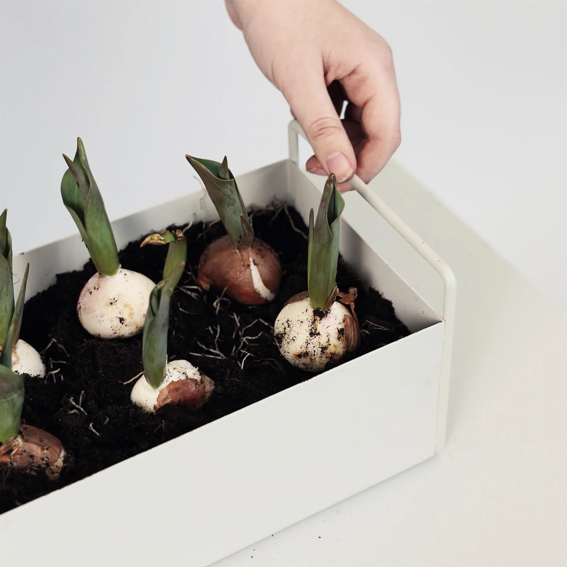 Ferm Living Plant Box small, Hellgrau Ferm Living