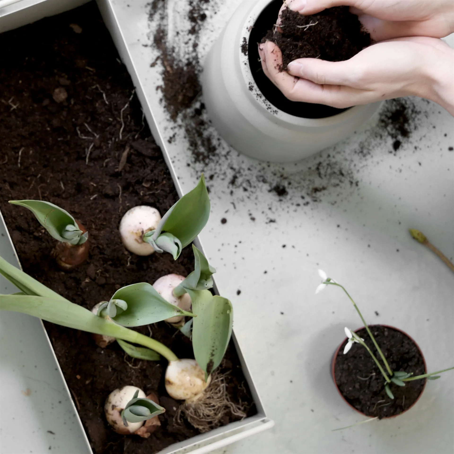 Ferm Living Plant Box small, Hellgrau Ferm Living