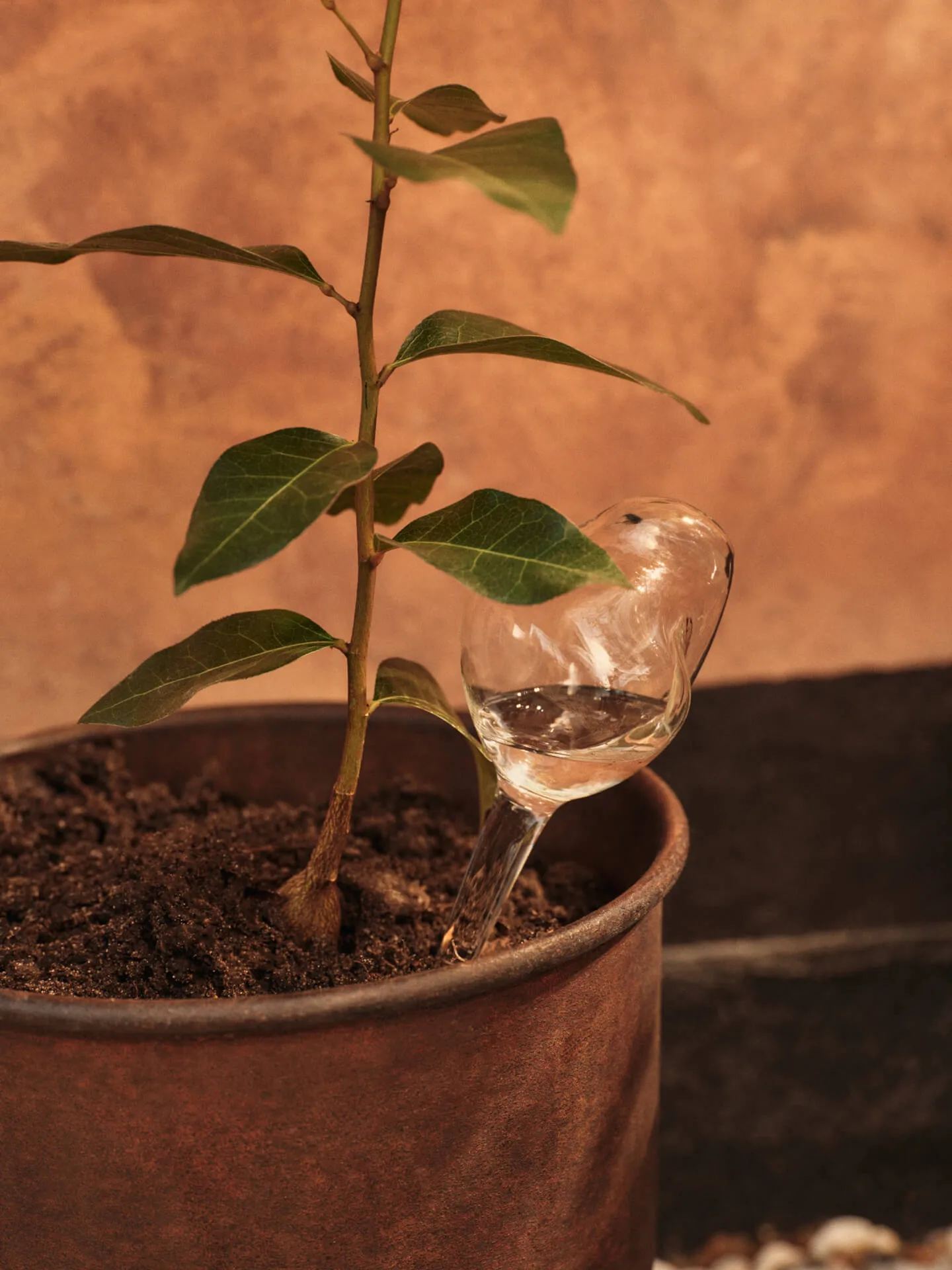 Mercury Bewässerungskugel 2-teilig, Clear, 12x18,5 cm Ferm Living