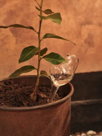 Mercury Bewässerungskugel 2-teilig - Clear, 12x18,5 cm - Ferm Living