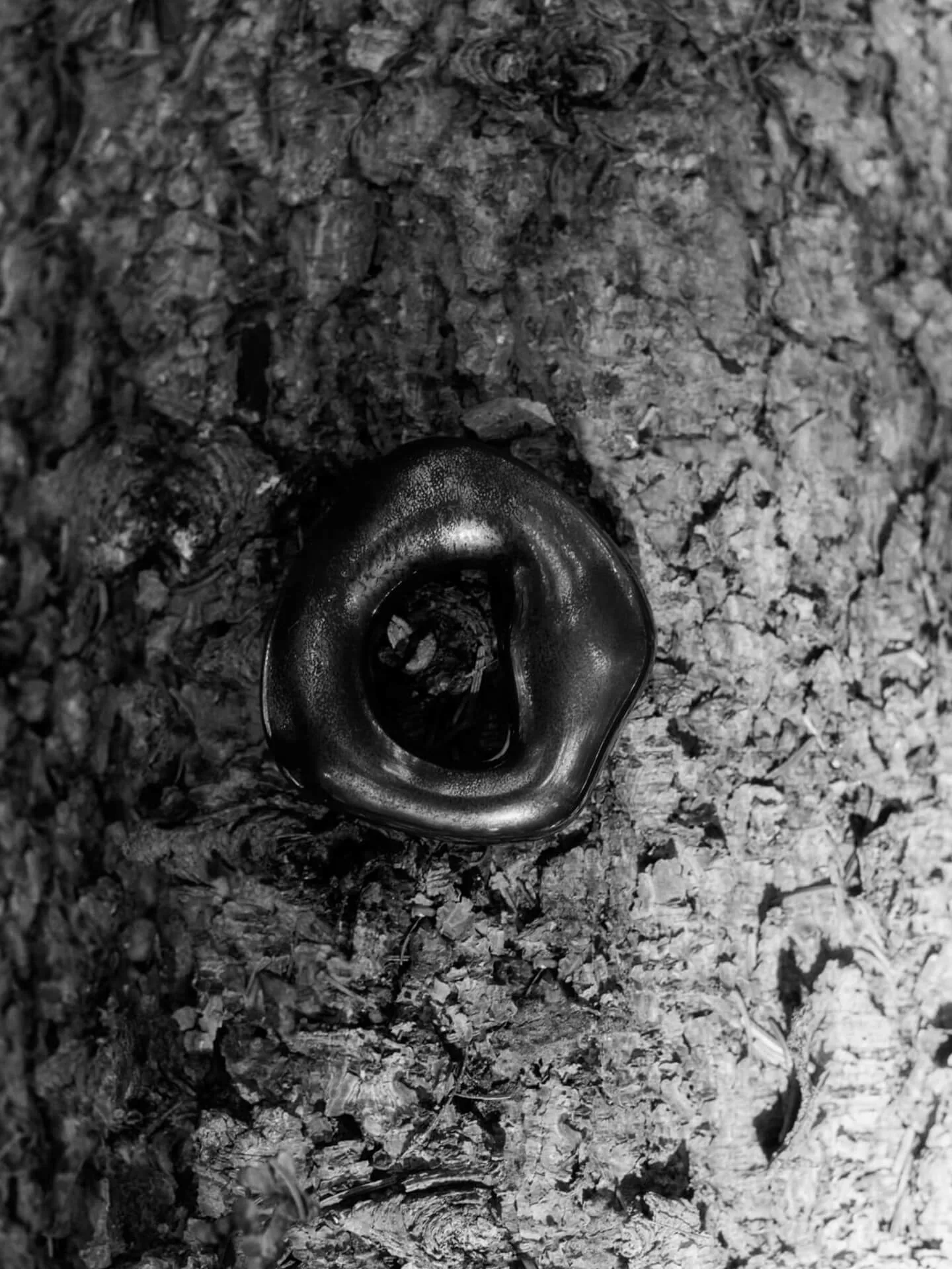 Orrith Dekorationsanhänger 2-teilig, Rustic Bronze Ferm Living