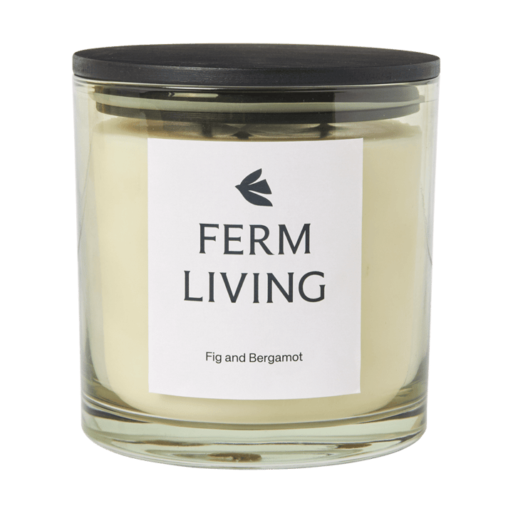 Vitto Duftkerze 50 h - Light Celedon - Ferm Living