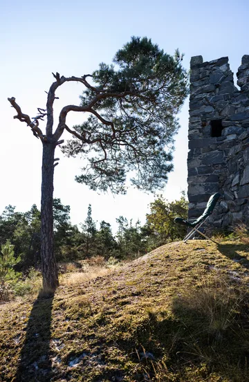 Fiesta Soft Sonnenliege - Stoff dunkelgrün - Fiam