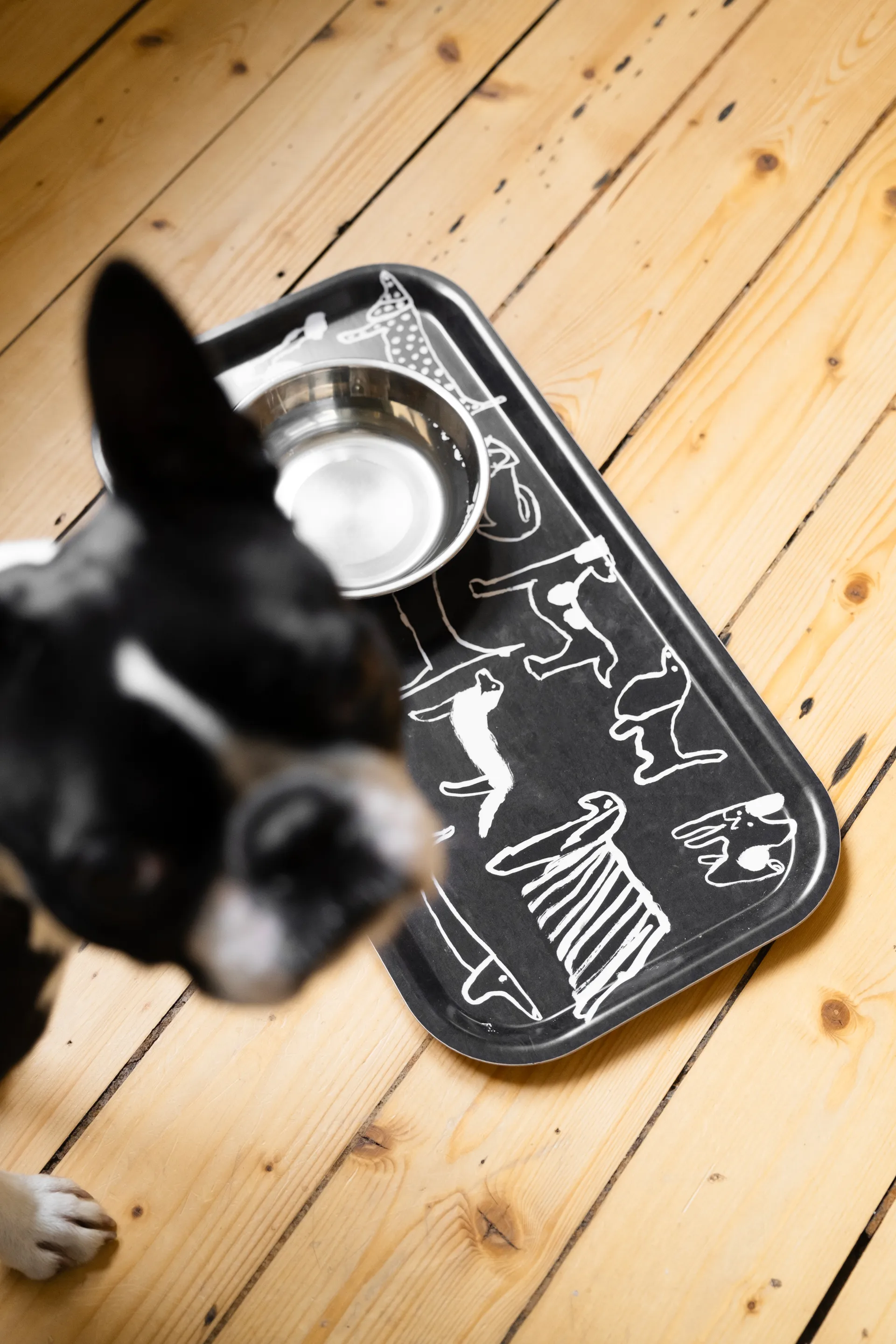 Dogs Tablett 22x43 cm, Black-white Fine Little Day