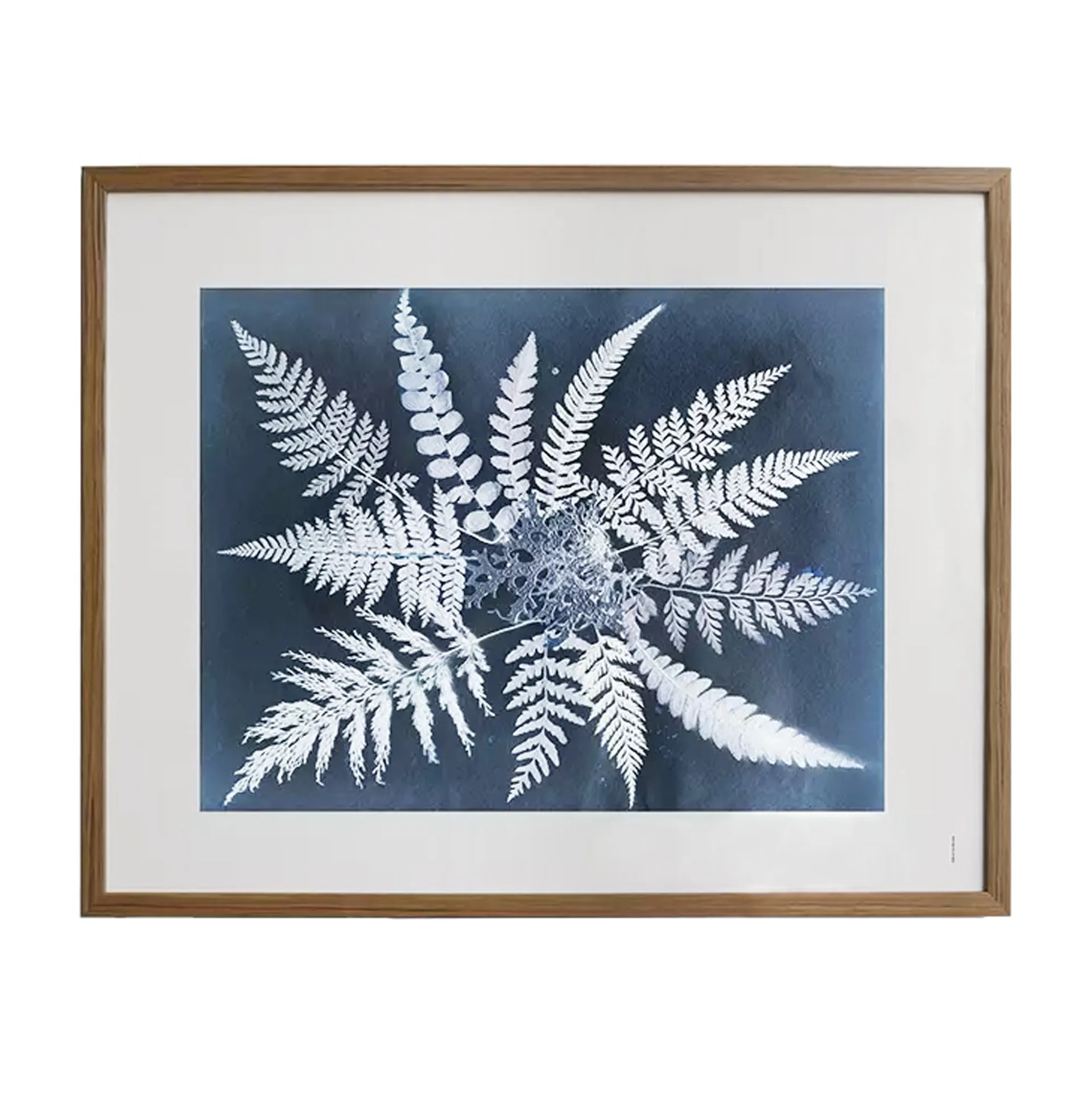 Fern star Poster, 40 x 50cm Fine Little Day