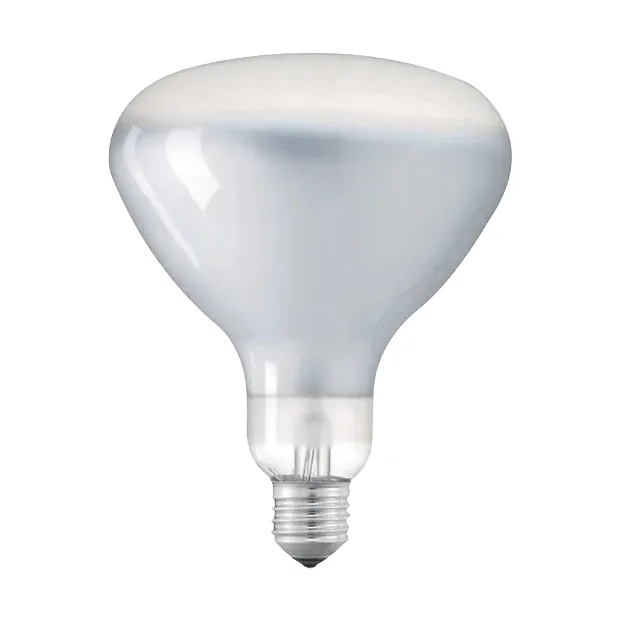 LED R125 Leuchtmittel E27 - 2700K 1180 lm 12 W - Flos