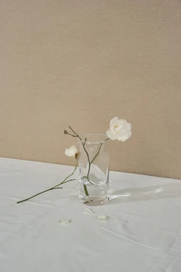 0405 Vase - Klar, Ø9,5x20 cm - FRAMA