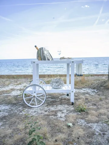 14 Servierwagen - White - Fri Form