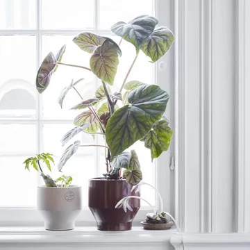 Edge Blumentopf (Indoor) Ø18 cm - Burned red - Fritz Hansen