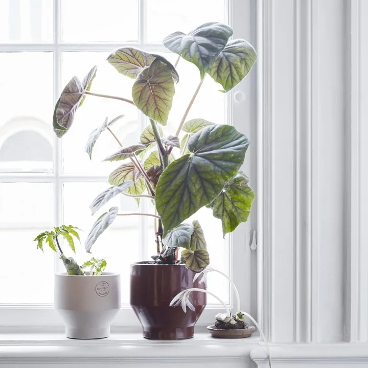 blumenkasten 9 cm breit Pflanzkasten mageschneidert mit Boden  Individuell vom Hersteller  Der  Stahlgarten