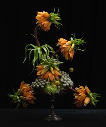 Garden Glory Flower Frogs Blumenigel - Medium - Garden Glory